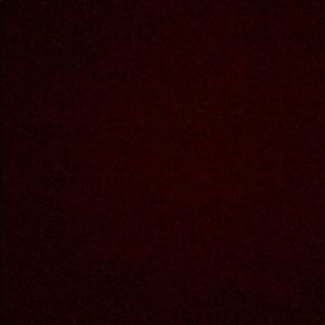 Meet your Posher, Shawn